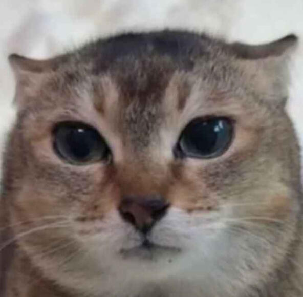 Tole Tole You found me!